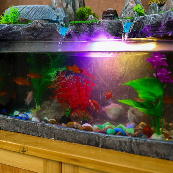 Aquarium décoratif avec circulation d'eau innovante