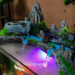 Espace aquatique stylé, parfait pour petits poissons