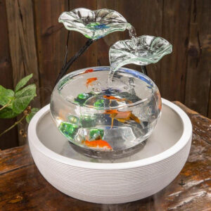 Fontaine aquarium ronde avec circulation d'eau douce