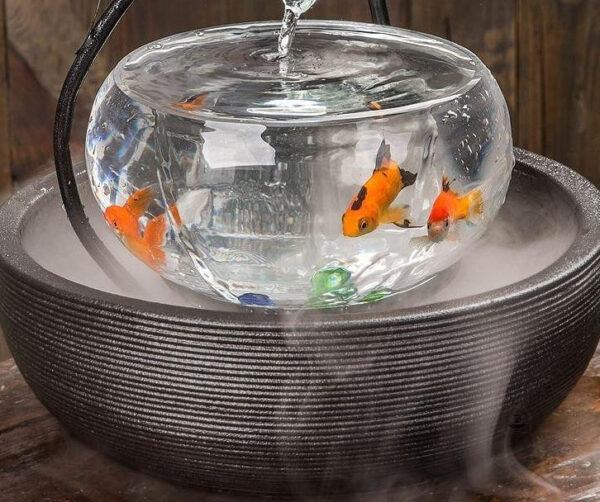 Aquarium compact avec fontaine intégrée pour intérieur