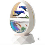 Design contemporain pour aquarium fontaine