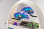 Aquarium avec aspect artistique et aquatique