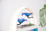 Aquarium design alliant esthétique et fonctionnalité