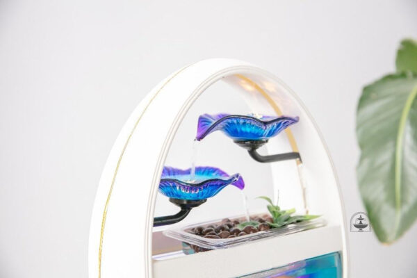 Aquarium design alliant esthétique et fonctionnalité