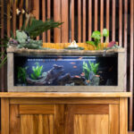 Fontaine à eau pour aquariums, design apaisant