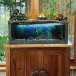 Accessoire de bien-être aquatique pour poissons et plantes