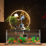 Aquarium compact alliant esthétique et bien-être aquatique