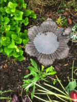 Bain d'oiseaux extérieur en fonte, ajout élégant pour le jardin