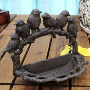 Bain pour oiseaux, espace de détente dans votre jardin
