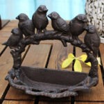 Bain oiseaux extérieur, parfait pour les oiseaux chanteurs