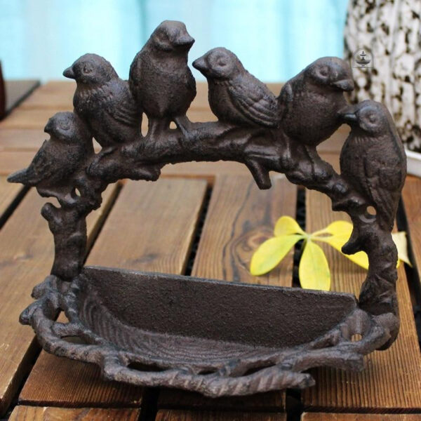 Bain oiseaux extérieur, parfait pour les oiseaux chanteurs