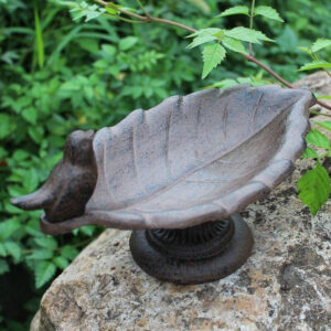 Bain pour oiseaux en eau attrayant pour les oiseaux