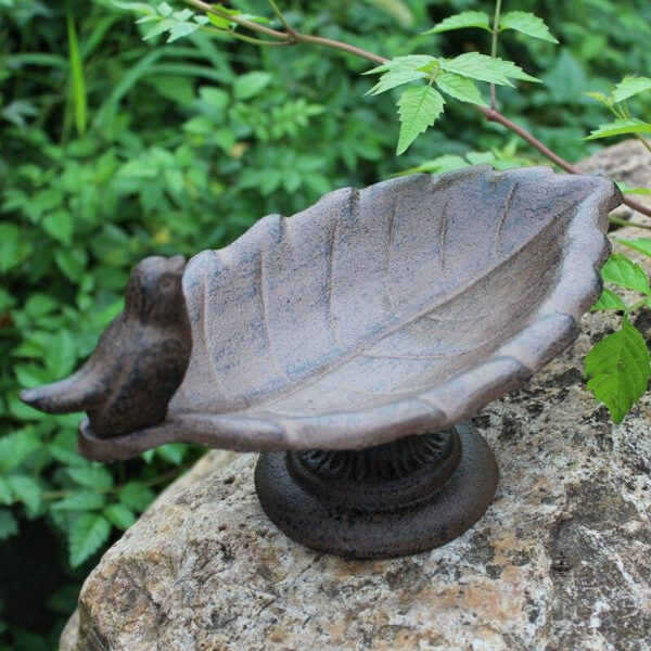 Bain pour oiseaux en eau attrayant pour les oiseaux