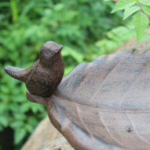 Accessoire de jardin : bain d'eau pour oiseaux
