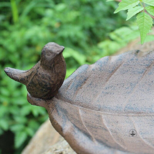 Accessoire de jardin : bain d'eau pour oiseaux