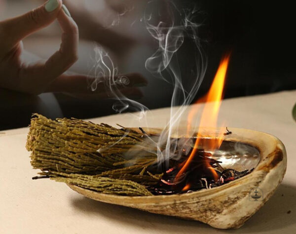 Bois de cèdre à brûler, idéal pour rituels et méditation