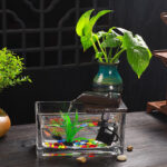 Fontaine pour aquarium, design élégant et apaisant