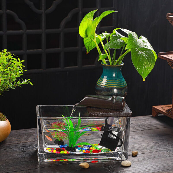 Fontaine pour aquarium, design élégant et apaisant