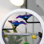 Décoration aquarium avec effet sonore apaisant de l'eau