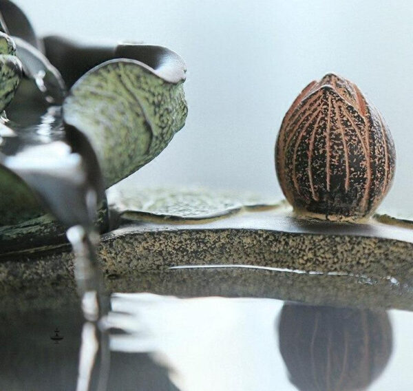 Élément d'eau zen pour une atmosphère sereine à la maison