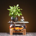 Élément d'eau pour relaxation intérieure