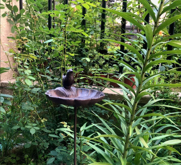 Bassin sur pied pour le bain des oiseaux