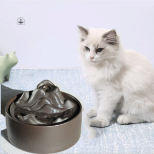 Fontaine Zen pour chat avec eau rafraîchissante