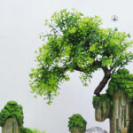 Accessoire zen pour espace bureau, design harmonieux