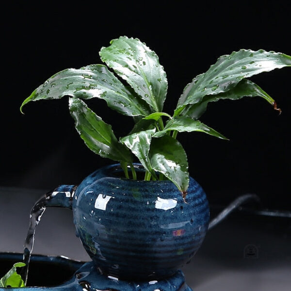 Fontaine zen facile à intégrer dans votre espace de vie