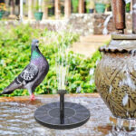 Petite fontaine solaire pour jardin