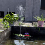 Petite fontaine solaire pour bassin de jardin