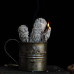 Sauge Blanche à brûler, une tradition spirituelle ancestrale
